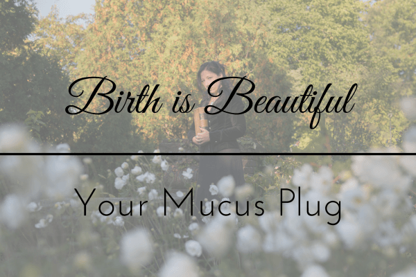 Birth is Beautiful, Your Mucus Plug – video